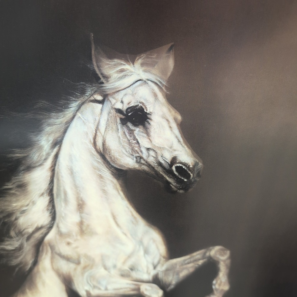Sonia Torres Limited Edition Numbered, Signed Arabian Front Horse Artist's Print - Picture 2 of 8